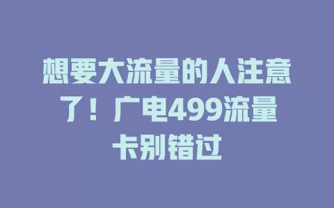 想要大流量的人注意了！广电499流量卡别错过