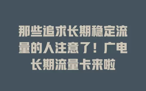 那些追求长期稳定流量的人注意了！广电长期流量卡来啦