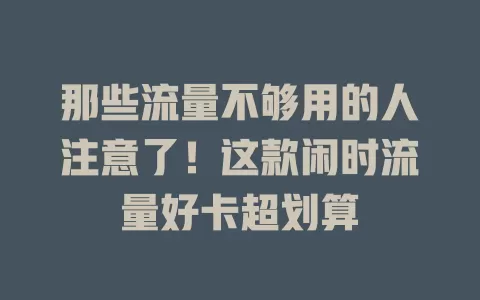 那些流量不够用的人注意了！这款闲时流量好卡超划算