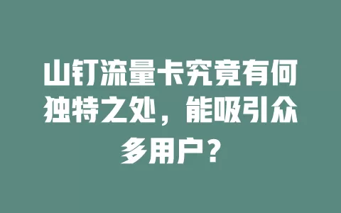 山钉流量卡究竟有何独特之处，能吸引众多用户？