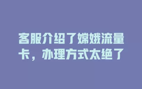 客服介绍了嫦娥流量卡，办理方式太绝了