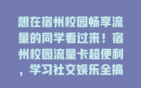 想在宿州校园畅享流量的同学看过来！宿州校园流量卡超便利，学习社交娱乐全搞定，套餐实惠无负担，助你开启精彩校园生活新篇章