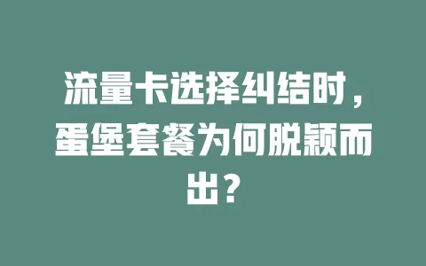 流量卡选择纠结时，蛋堡套餐为何脱颖而出？