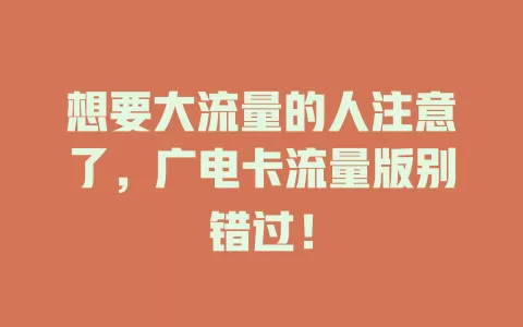 想要大流量的人注意了，广电卡流量版别错过！