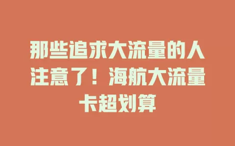 那些追求大流量的人注意了！海航大流量卡超划算
