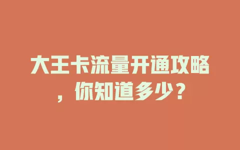 大王卡流量开通攻略，你知道多少？