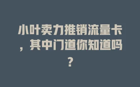 小叶卖力推销流量卡，其中门道你知道吗？