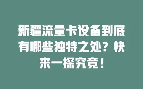 新疆流量卡设备到底有哪些独特之处？快来一探究竟！