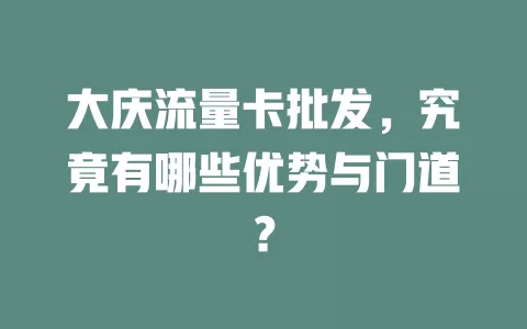 大庆流量卡批发，究竟有哪些优势与门道？