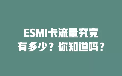 ESMI卡流量究竟有多少？你知道吗？