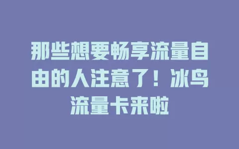 那些想要畅享流量自由的人注意了！冰鸟流量卡来啦