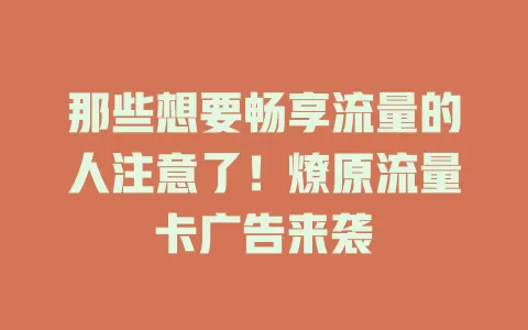 那些想要畅享流量的人注意了！燎原流量卡广告来袭