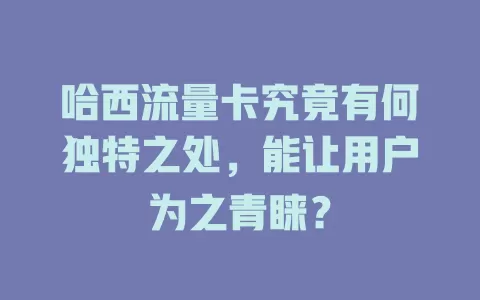 哈西流量卡究竟有何独特之处，能让用户为之青睐？