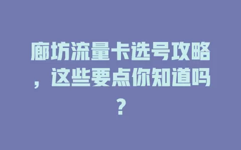 廊坊流量卡选号攻略，这些要点你知道吗？