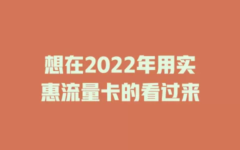 想在2022年用实惠流量卡的看过来