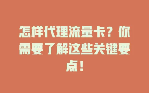 怎样代理流量卡？你需要了解这些关键要点！