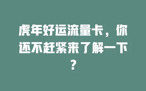 虎年好运流量卡，你还不赶紧来了解一下？