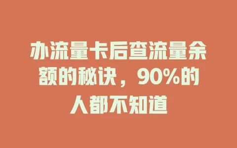 办流量卡后查流量余额的秘诀，90%的人都不知道