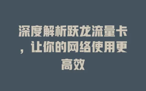 深度解析跃龙流量卡，让你的网络使用更高效
