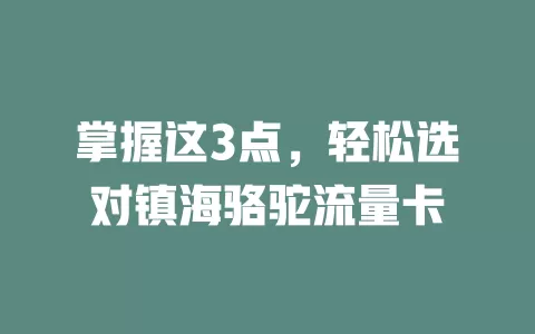 掌握这3点，轻松选对镇海骆驼流量卡