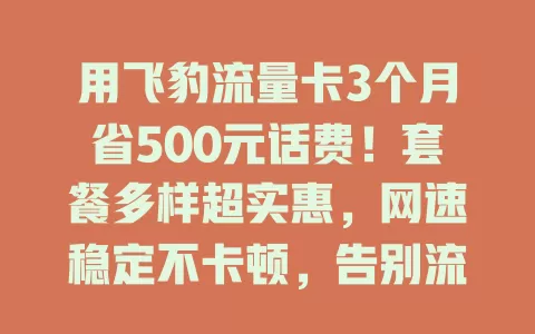 用飞豹流量卡3个月省500元话费！套餐多样超实惠，网速稳定不卡顿，告别流量费用高难题，强烈推荐！