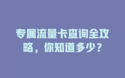 专属流量卡查询全攻略，你知道多少？