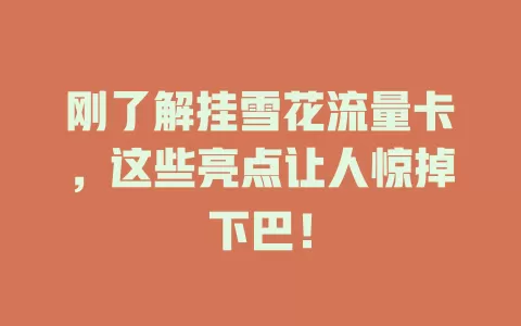 刚了解挂雪花流量卡，这些亮点让人惊掉下巴！