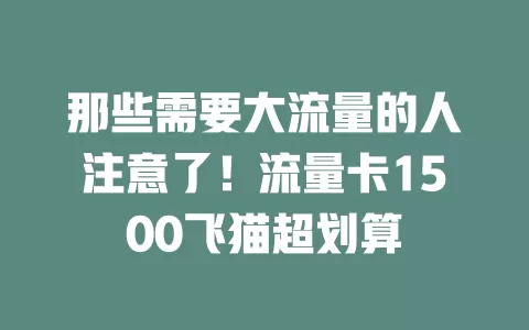 那些需要大流量的人注意了！流量卡1500飞猫超划算