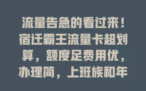 流量告急的看过来！宿迁霸王流量卡超划算，额度足费用优，办理简，上班族和年轻人的福音