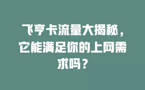 飞亨卡流量大揭秘，它能满足你的上网需求吗？