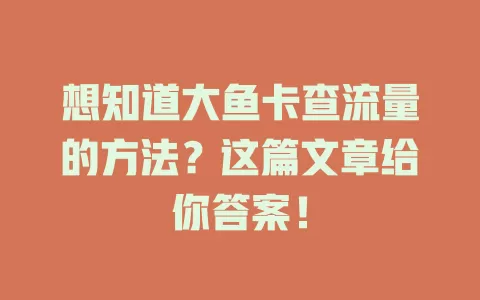 想知道大鱼卡查流量的方法？这篇文章给你答案！