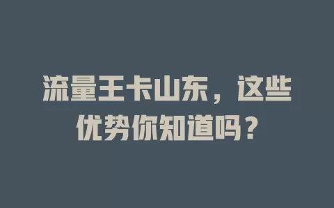 流量王卡山东，这些优势你知道吗？