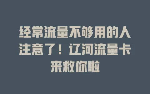 经常流量不够用的人注意了！辽河流量卡来救你啦