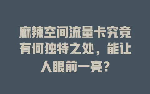 麻辣空间流量卡究竟有何独特之处，能让人眼前一亮？