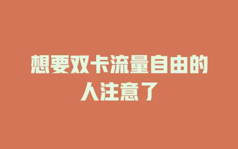 想要双卡流量自由的人注意了