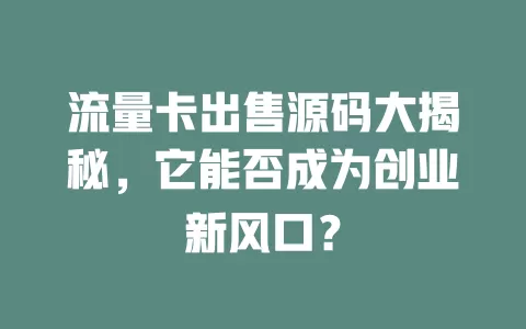 流量卡出售源码大揭秘，它能否成为创业新风口？