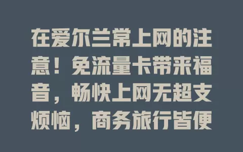 在爱尔兰常上网的注意！免流量卡带来福音，畅快上网无超支烦恼，商务旅行皆便利，使用超便捷，开启轻松网络之旅