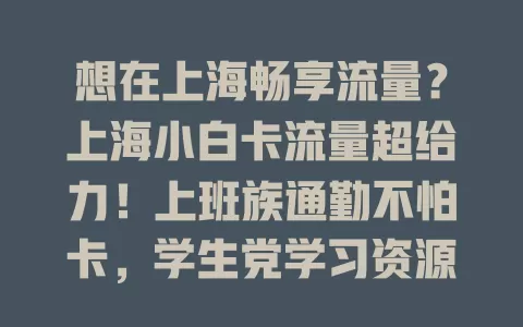 想在上海畅享流量？上海小白卡流量超给力！上班族通勤不怕卡，学生党学习资源足，旅游爱好者分享导航不愁，全方位支持你的沪上生活！