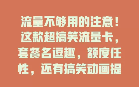 流量不够用的注意！这款超搞笑流量卡，套餐名逗趣，额度任性，还有搞笑动画提示语
