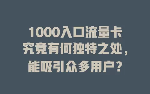 1000入口流量卡究竟有何独特之处，能吸引众多用户？