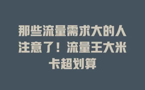 那些流量需求大的人注意了！流量王大米卡超划算