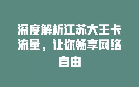 深度解析江苏大王卡流量，让你畅享网络自由