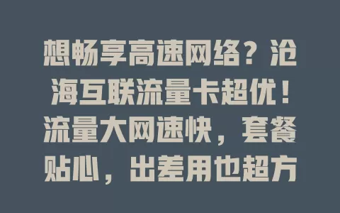 想畅享高速网络？沧海互联流量卡超优！流量大网速快，套餐贴心，出差用也超方便！