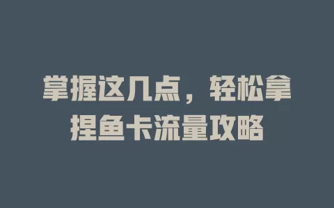 掌握这几点，轻松拿捏鱼卡流量攻略