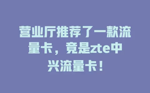 营业厅推荐了一款流量卡，竟是zte中兴流量卡！