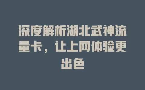 深度解析湖北武神流量卡，让上网体验更出色