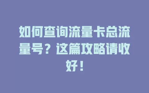 如何查询流量卡总流量号？这篇攻略请收好！