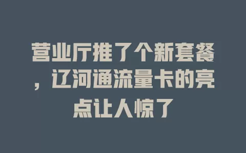 营业厅推了个新套餐，辽河通流量卡的亮点让人惊了