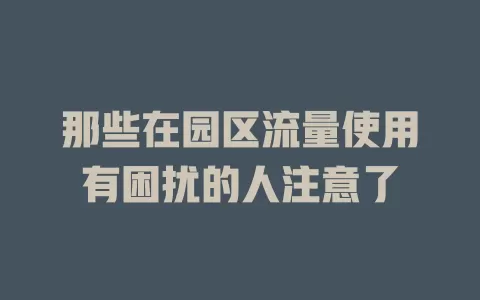 那些在园区流量使用有困扰的人注意了