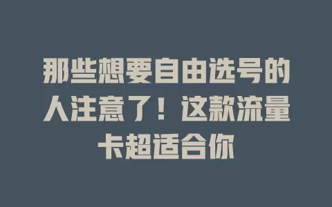 那些想要自由选号的人注意了！这款流量卡超适合你